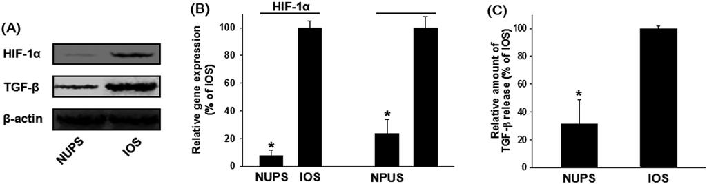 (B) Cell viability (neutral red assay) and (C) mitochondrial metabolic activity (MTT assay) at 3 weeks of culture in the scaffolds. *p<0.01.