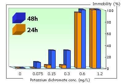 가. 물벼룩독성시험 1) 물벼룩급성독성시험물벼룩 (Daphnia magana) 를 이용한 급성독성시험 결과, 6가크롬 (K 2 Cr 2 O 7 로서 ) 의 반수영향농도는 48시간및 96시간 -EC 50 이 각각 0.53 및 0.