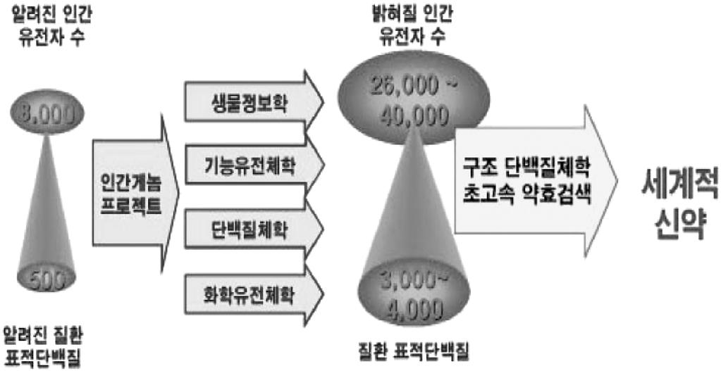 손은수 이상필 김강회 표석능 손은화 186 그러나 이 표적단백질에 대한 정보는 직접적으로 이 단백질 의 기능을 조절하는 물질, 즉 신약후보물질에 대한 정보로 연 결될 수는 없다. 이는 신약발굴에 사용될 질환 표적단백질에 작용하는 신약의 수가 신약 표적단백질 연구를 따라가지 못한 다는 것을 의미한다.