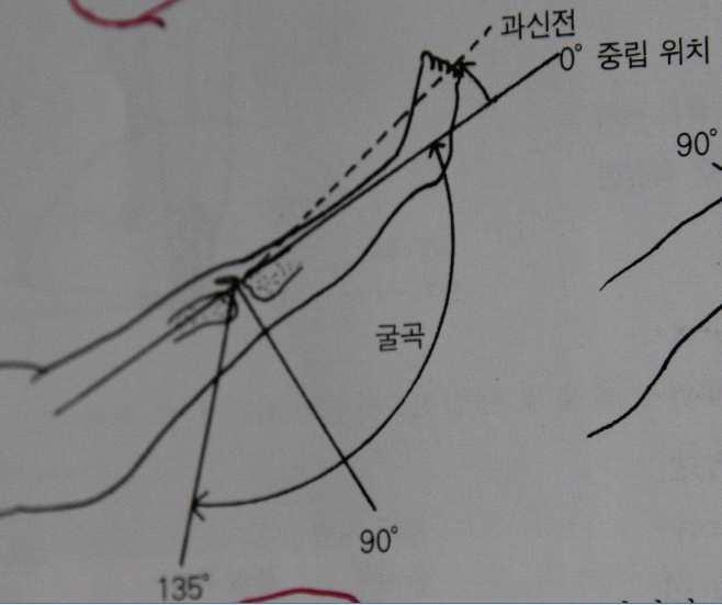 발목관절 1 dorsiflexion