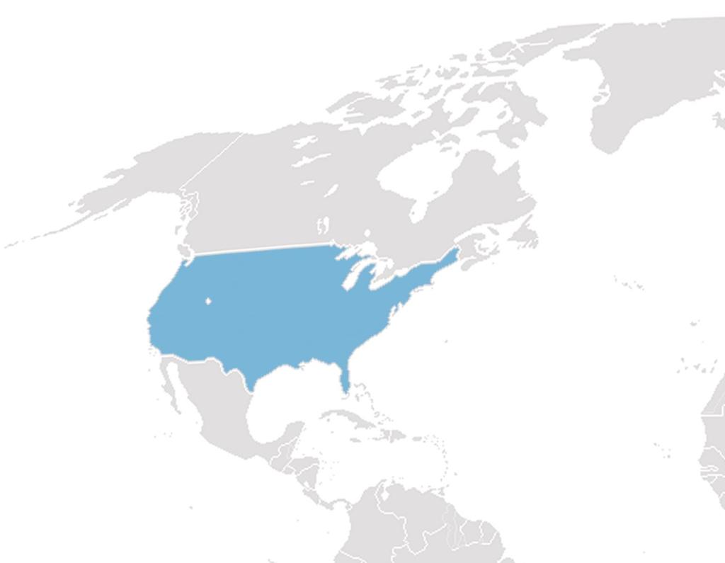 World Footprint