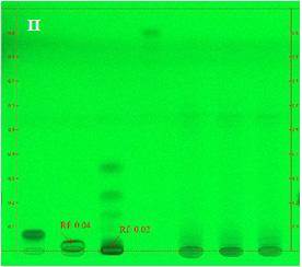 The concentrations of 10 mg/ml samples were loaded on the TLC plate, and developed in toluene/acetone/formic acid (6:6:1, v/v/v). A, chlorogenic acid; B, rutin; C, tannin; D, β-carotene.