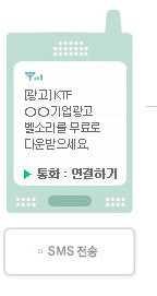 6.2.1 모바일정보서비스 모바일비즈니스및웹정보검색 (2) 모바일광고