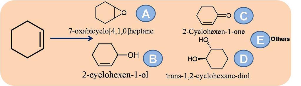 그림. 21 Products of cyclohexene