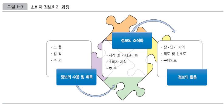 소비자정보처리및가치지각 소비자정보처리과정 소비자가치지각 -