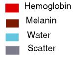 KTP Nd:YAG Holmium Erbium Absorption (cm -1 ) 방식별레이저 What to Select 10000 Water