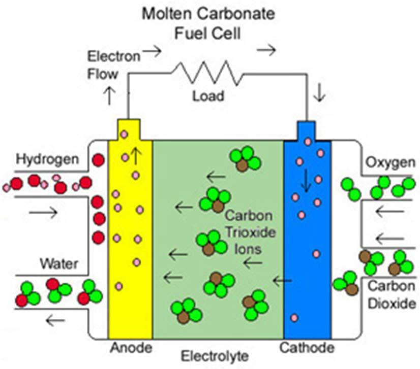 Types of Fuel Cell 용융탄산염연료전지 -제2세대연료전지 -탄산리튬, 탄산나트륨, 탄산칼륨을고온에서용융 ( 액체상태 ) 시켜다공질세라믹에함침시켜전해질로사용 -탄산염이온