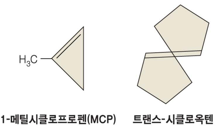 에틸렌생합성경로및생리적역할연구를위한에틸렌생합성차단 합성저해 : ACC 생성또는 ACC의에틸렌전환저해 작용저해 : 은이온,