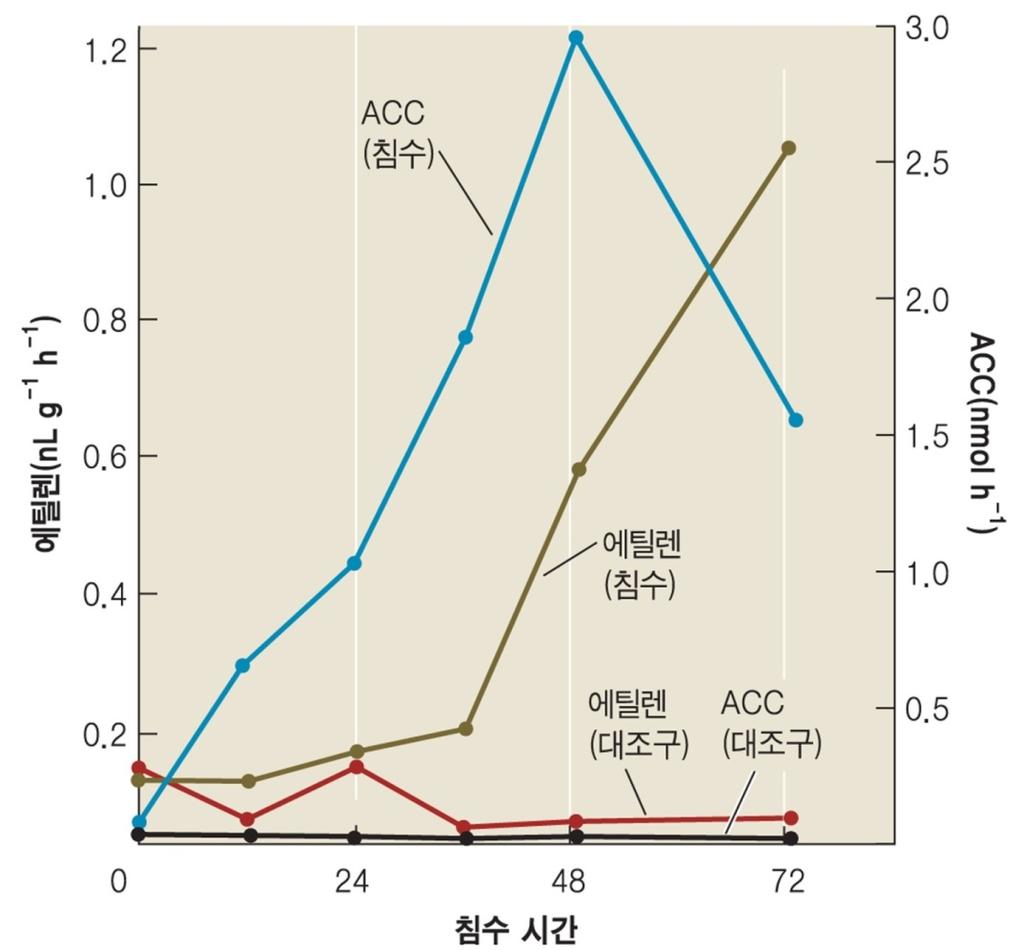 스트레스조건에서발생 : 뿌리에서환경조건감지 줄기로신호전달 : ACC