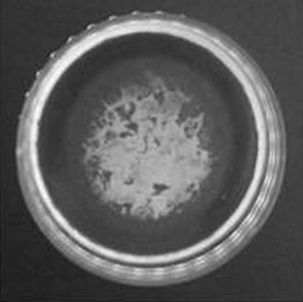 carboxylmethylcellulose sodium; PG = propylene glycol + polyethylene