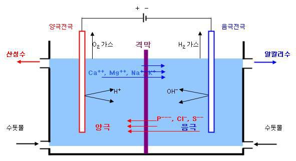 유기물세정 _ Ozonized Water 2/3 오존수발생방식 _ 수전해 수전해방식 DI Water 전기분해 DI Water DI Water 전기분해된 DI Water 외에 O2, O3, H2 가스발생 1 차직접수 (2 조식방법 ) O3, H2 가스 O3, H2 가스추출 전기분해된 DIW