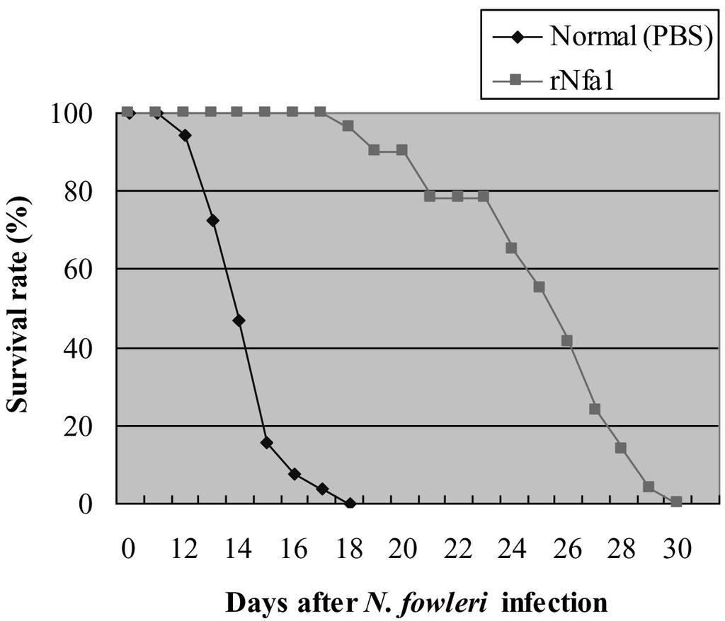 210 Hanyang Medical Reviews Vol. 30 No. 3, 2010 References Fig. 7. Survival rate in mice infected intraperitoneally with N. fowleri trophozoites post immunization with the rnfa1 protein. 보고되었다.