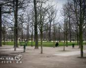 튈르리공원 Jardin des Tuileries 예술의향기로가득한도심속공원 MAP B3 테마공원 정원 숲 /