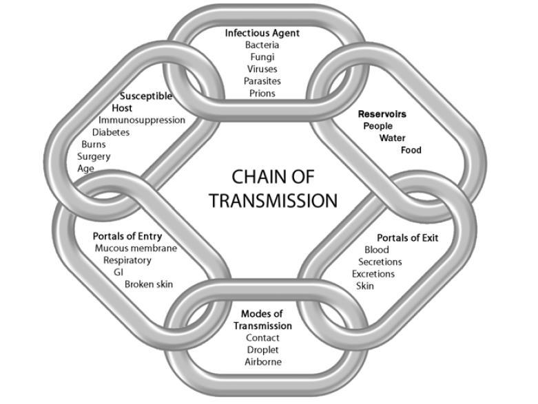 The chain of infection Chain of Transmission Source: Provincial Infectious Diseases Advisory Committee.
