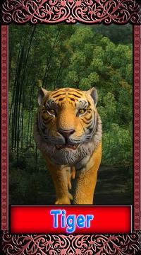 95 호랑이 (Tiger) 16
