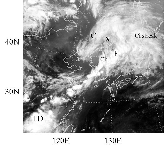 이광재 허기영 서애숙 박종서 하경자 (a) Infrared image (b) CBM (c) Observed rainfall (d) Convective and stratiform (e) Estimated rainfall