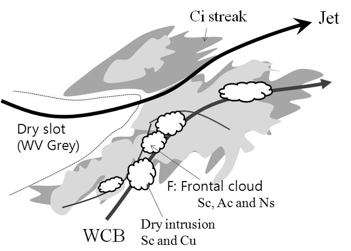 Convective and stratiform cloud (e) Estimated
