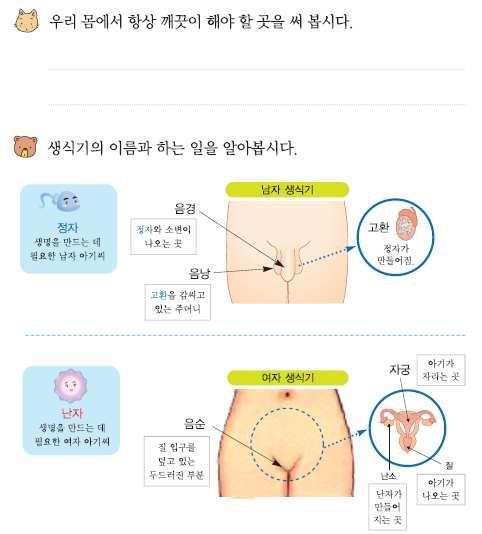 [ 학생활동자료 1] 생식기의이름과하는일