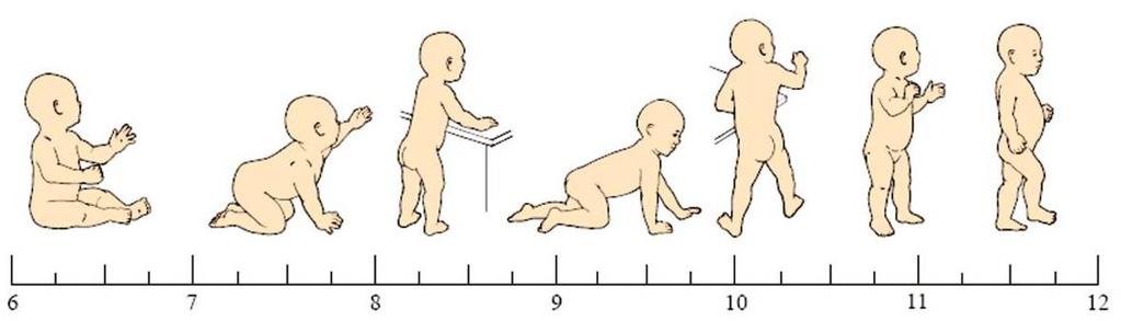 앉은자세에서머리를똑바로한상태를유지할수있다 개월 손을바닥에지지하고앉을수있다.