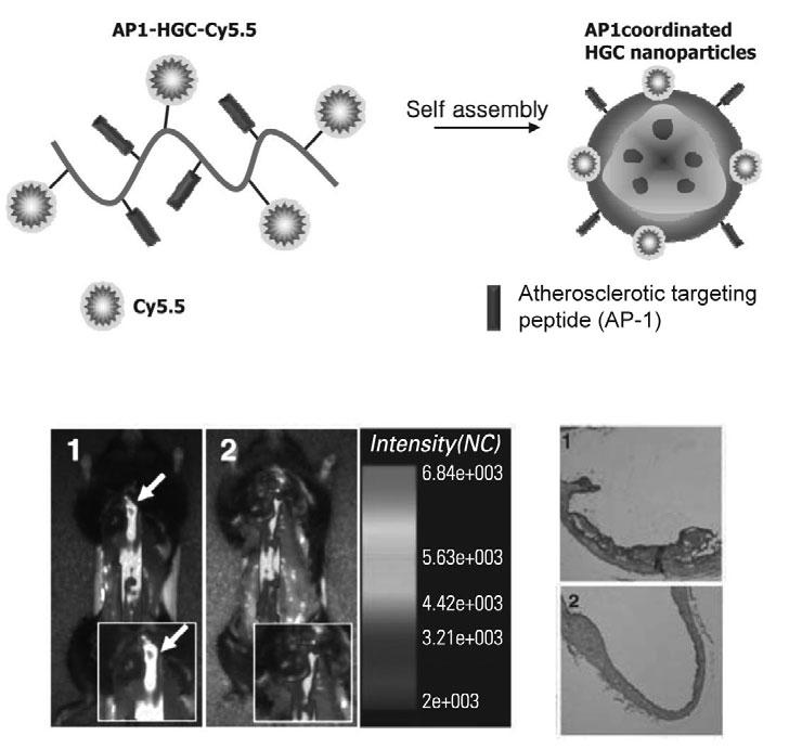 Multifunctional Nanoparticles for Molecular Imaging Figure 1.