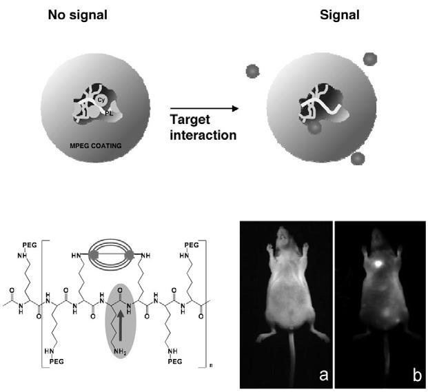 Copyright 2008 Elsevier.V. Figure 5.