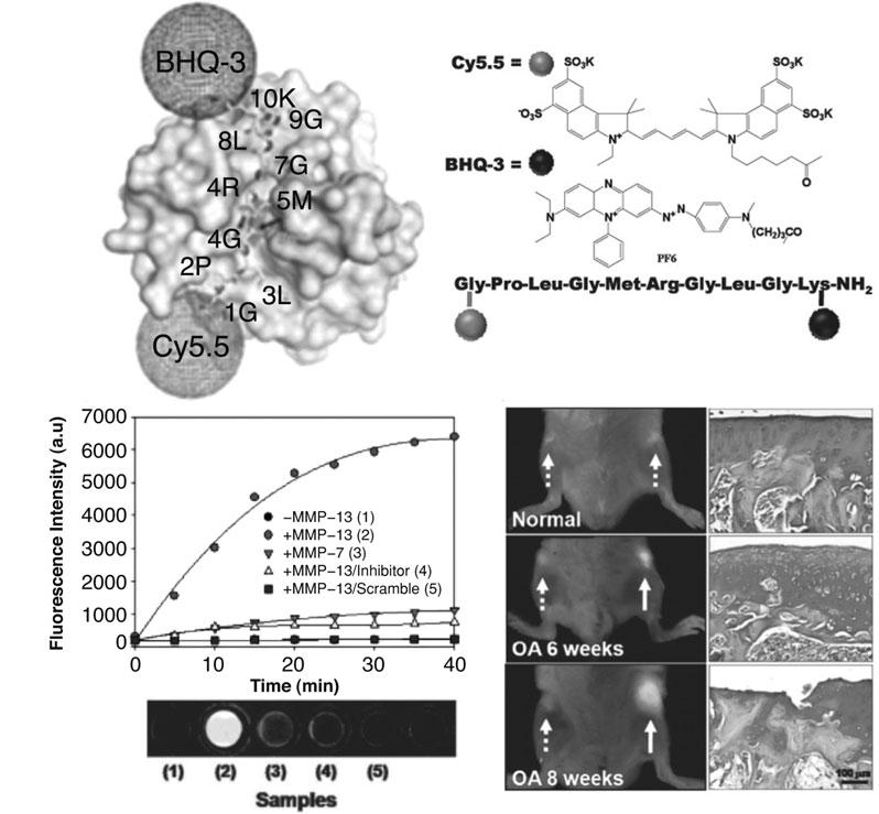 Multifunctional Nanoparticles for Molecular Imaging Figure 6.