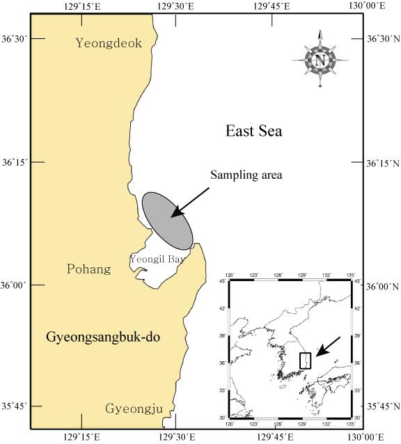 37 김소라ㆍ차형기ㆍ이재봉ㆍ이해원ㆍ양재형ㆍ백혜자ㆍ김성태 A B C D E Fig. 1. Sampling area of the Pseudopleuronectes yokohamae in the coast of Pohang, East Sea. Fig. 3.