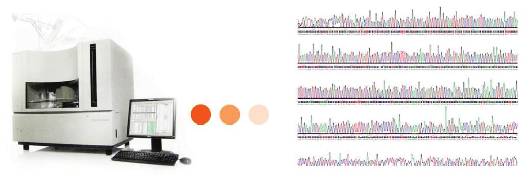 Custom DNA Sequencing Service (Sanger Sequencing) DNA/RNA 추출부터 primer design 을포함하여 PCR optimization 및 sequencing 까지일련의과정에대한맞춤서비스입니다.