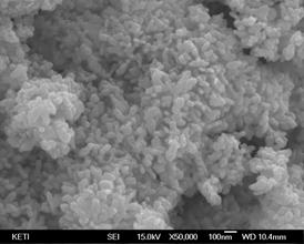 size (mean size) form SEM (nm) Ag-CM Chemical-mechanical milling Near-spherical 40-90 (65) Ag-ME Microemulsion Near-spherical 30-90 (60) Ag-EE Electrical explosion