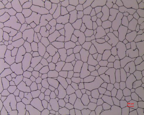 vs. silver nanoparticle type (right).