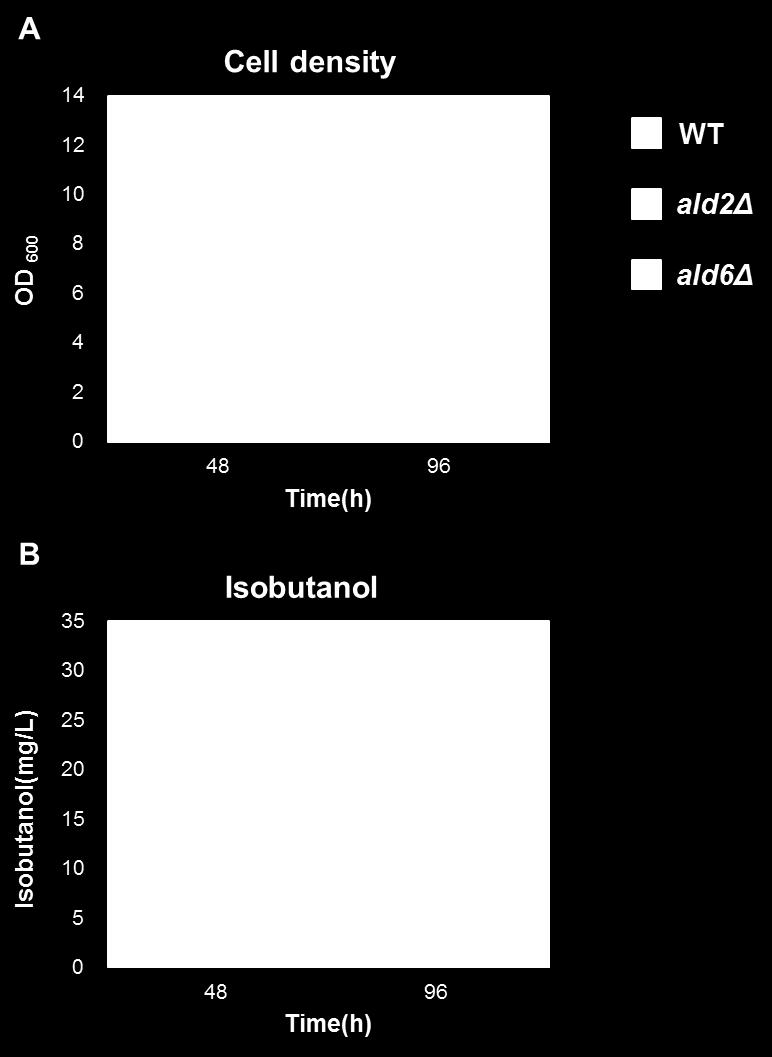 dehydrogenase, ALD2 and ALD6.