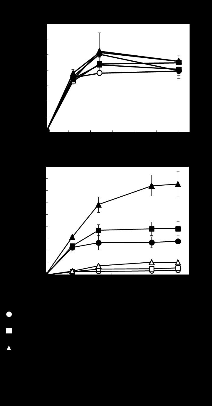 Figure 11. Isobutanol production depending on glucose concentration.