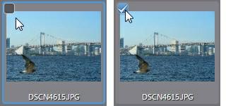 C y b e rl in k M e d ia S u it e 여 사진을 가져오십시오. 선택한 후에는 사진 가져오기 창이 표시됩니다. 소스 드롭다운에서 카메라 또는 카드 리더를 선택하여 사진 가져오기 창에 모든 사 진의 섬네일을 표시하십시오. 참고: 미리 보기 창의 오른쪽 아래에 있는 진 섬네일 크기를 조정할 수 있습니다. 를 사용하여 사 4.