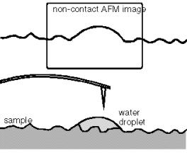 Non-Contact AFM 시료사이에작용하는 attractive van der Waals force(0.1nn~0.