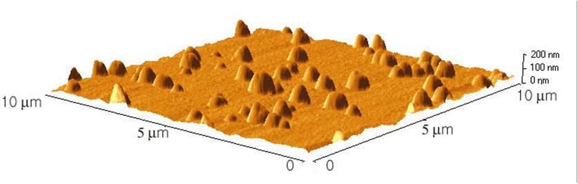 AFM Sample RMS