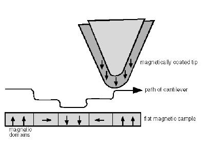 MFM (Magnetic