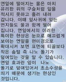 자연계의나노구조체