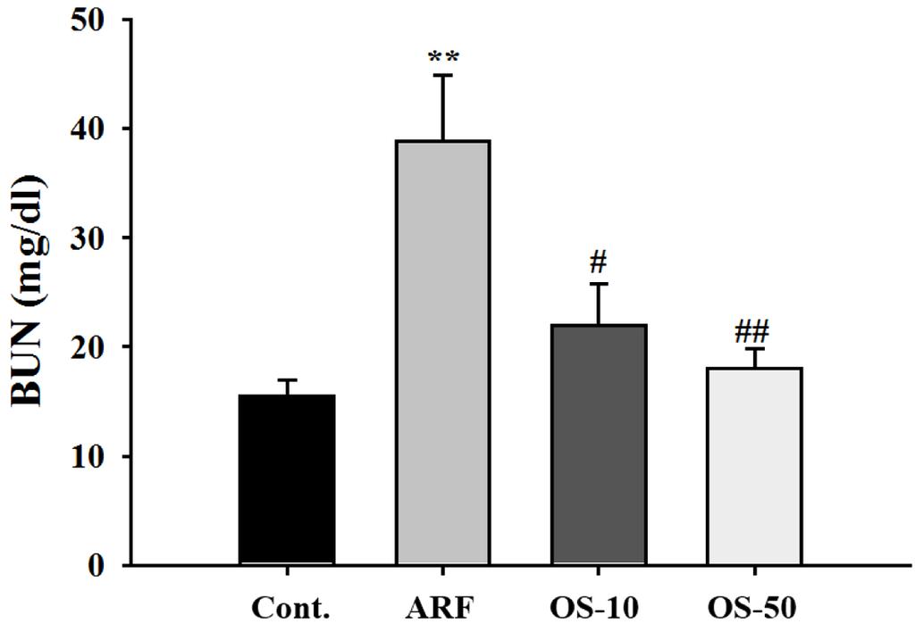 그 결과 ARF 군은 Cont. 군과 비교했을 때 사구체 확장과 세뇨관의 섬유 Fig. 1 Effects of Oryeongsan on urine volume. Values were expressed as mean±s.e. (n=6). *p<0.05 vs. Cont.. Abbreviation : Cont.