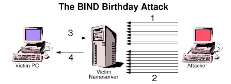 DNS protocol 1. (microsoft.com). 2.