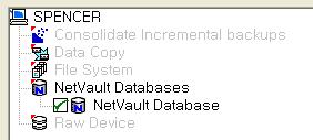 NetVault NVDB Check Utility NVDB 백업전에 NVDB 의 Media 와