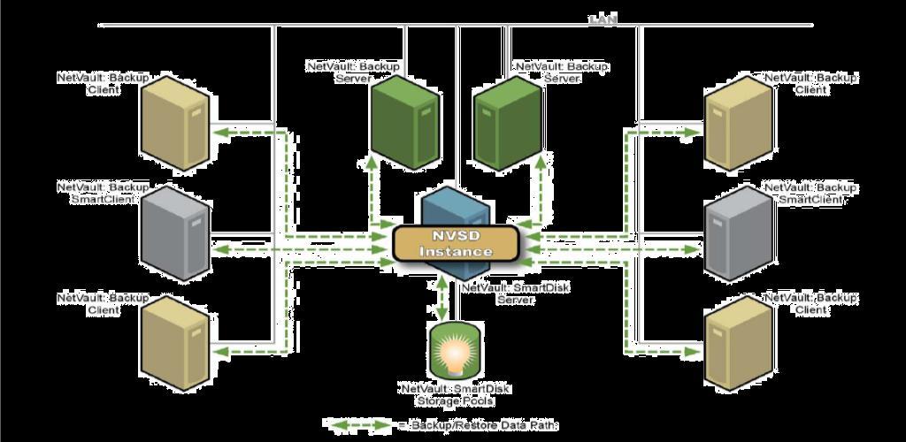 Single NVSD Instance