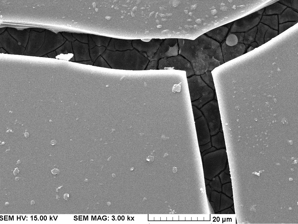 9 SEM image of surface morphologies of chemical conversion coating and sol-gel coating (magnification of 3000x). 를 계산할 수 있다 [17,18]. 3.4 SEM image of specimens Fig. 9에서는 침지 시간에 따른 시편의 변화를 관찰하고자 (1) E.