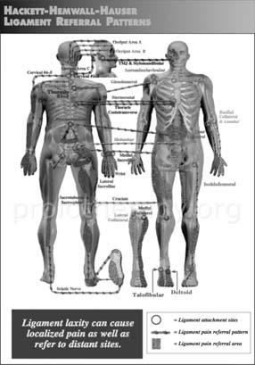 Pelvis area Myofascial pain 유발하는