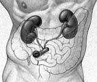 resection Cystoplasty with subtrigonal cystectomy Total cystectomy and