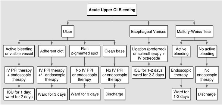 상부위장관출혈 3) 진단검사 : 혈역학적으로안정되고충분한혈액내액보충후시행 (1) 구강, 비강출혈배제 (2) 상부위장관내시경 : 가장기본적인검사.