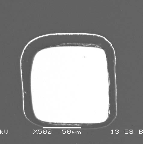 1 µm 91 µm Polymer Thickness: 5.