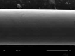 substrate Microparticle