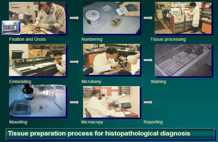 Histotechnology (