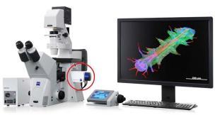 3. 세포체장비 형광현미경 (Axio Observer Z1) 장비개요 생물 / 수질 / 의학 / 약학 / 농학 / 축산등연구실젂반에사용핛수있는다목적연구용젂자동형광현미경 적용분야 2D 뿐맊아니라 3D 영상을제공함 현미경젂용 Digital Camera