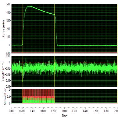 8. 근기능시험장비 In vitro Physiology Data Acquisition System 장비개요 체외근육생리측정장치로쥐의근조직중주로뒷다리의긴발가락폄근 (EDL, extensor digitorum longus)